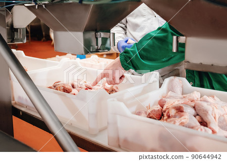 Conveyor Belt Food.The meat factory.Automated production line in modern food factory.Containers on a conveyor line with raw chicken drumstick.Factory for the production of food from meat,poultry. 90644942