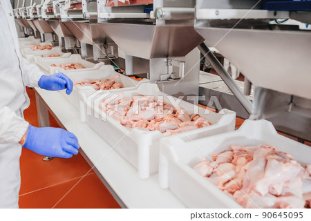 Factory for the production of food from meat,poultry.Conveyor Belt Food.The meat factory.Automated production line in modern food factory.Containers on a conveyor line with raw chicken drumstick. Factory for the production of food from meat,poultry.Conveyor Belt Food.The meat factory.Automated production line in modern food factory.Containers on a conveyor line with raw chicken drumstick. 90645095