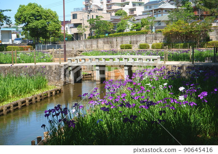 Iris and Ishibashi Iris and Ishibashi 90645416