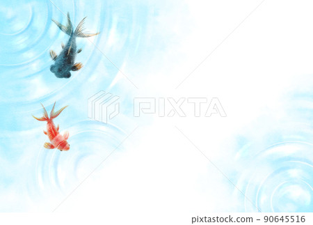 Goldfish black and red without horizontal letters 90645516