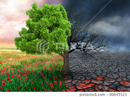 ecological concept with tree and climate changing landscape ecological concept with tree and climate changing landscape 90645521