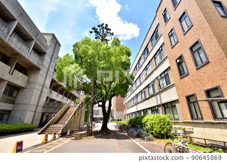 京都大學中央食堂附近 京都大學吉田校區 京都大學本部校區 90645869