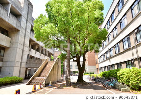 京都大學中央食堂附近 京都大學吉田校區 京都大學本部校區 90645871