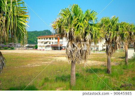 [停課]岡山縣笠岡市舊北木小學（現北木島住宿培訓中心、北木島診所）的風景 90645985