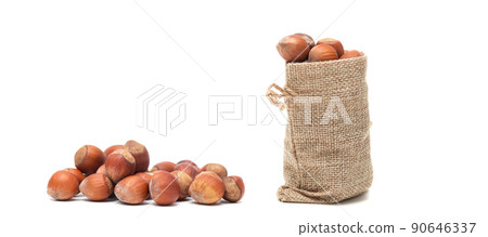 Fresh hazelnut isolated on white background Fresh hazelnut isolated on white background 90646337