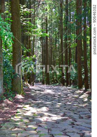 Old Hakone Highway near Mishima 90646382