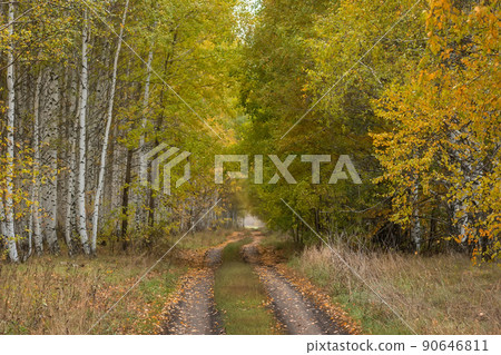 Landscape of nature countryside. 90646811