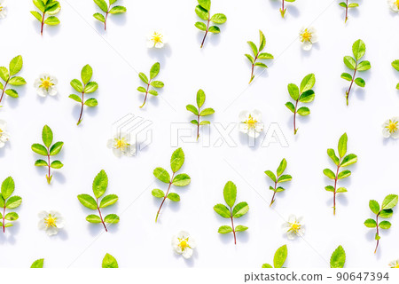 flowers and leaves flat floral pattern design flowers and leaves flat floral pattern design 90647394