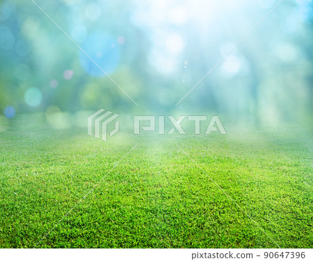 natural grass background natural grass background 90647396
