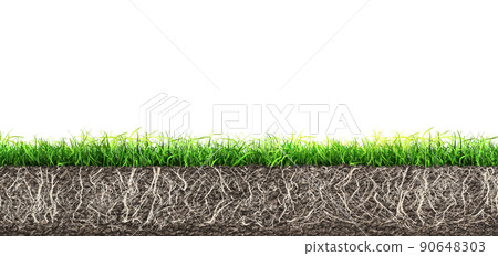 grass and turf soil with roots isolated 90648303