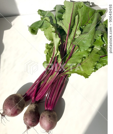 Red beets with leaves 90648498