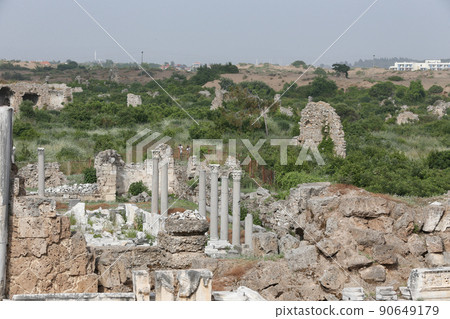 土耳其鵝耳櫪 90649179