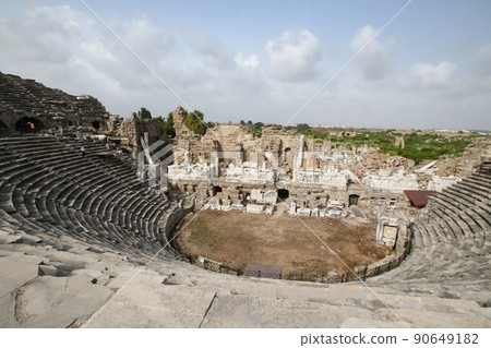 Turkish hornbeam Turkish hornbeam 90649182