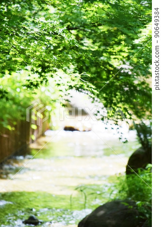 Fresh green leaves and rivers 90649384