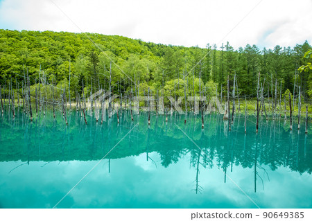 Biei's Blue Pond 90649385