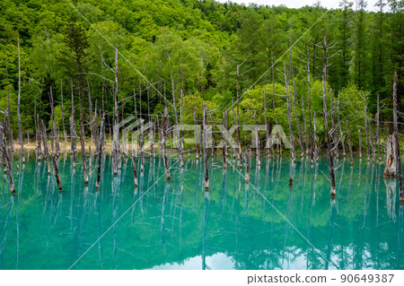 Biei's Blue Pond 90649387