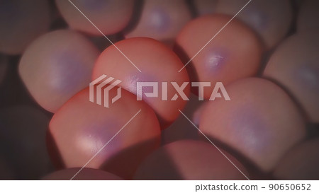 Cancer begins when genetic changes interfere with this orderly process. 90650652