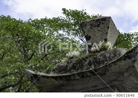 石燈籠中綻放的“萬達法爾卡塔” 90651646