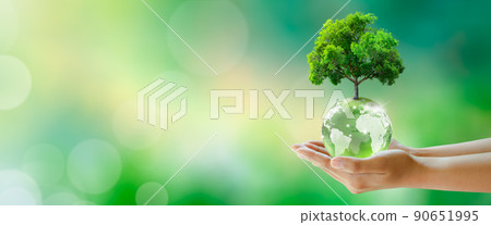 Growing tree on Globe crystal glass ball in human hand. Green Sunny background with bokeh. Saving environment, Save clean planet, Ecology, and World Earth Day Concept. 90651995