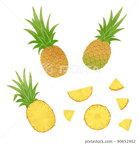 菠蘿的手繪插圖 90652982