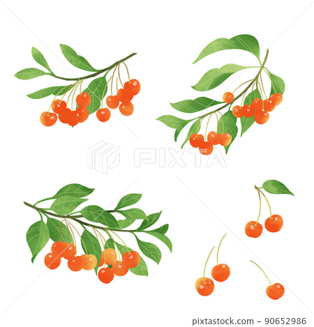 Hand drawn illustration of red cherries 90652986