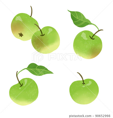 Hand drawn illustration of green apple Hand drawn illustration of green apple 90652998