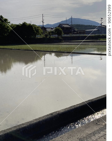 Country landscape Country landscape 90652999