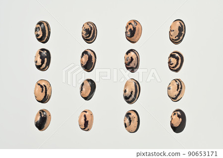 鳥瞰北海道產的稱為“貝類”的幾種豆類，包括用作材料在內，可用於多種用途。 90653171