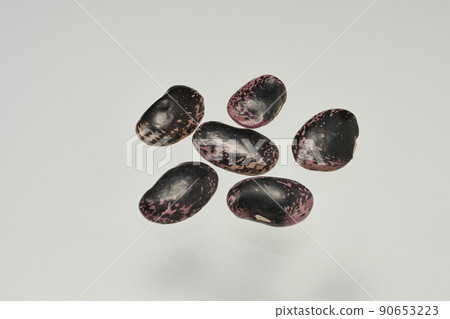 A bird's-eye view of several beans called "purple flower beans" from Hokkaido that can be used in various ways, including as a material. 90653223