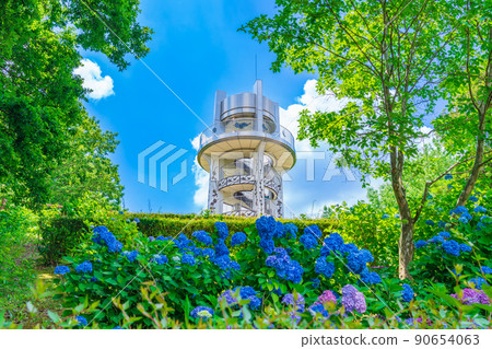 市民的四季森林、盛開的繡球花<愛知縣小牧市> 90654063