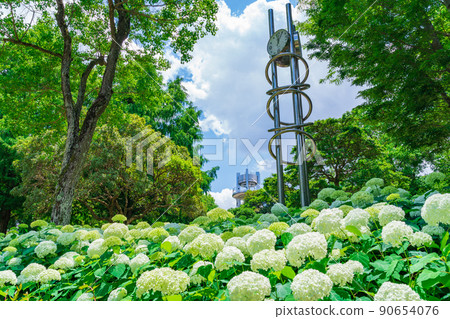 市民的四季森林、盛開的繡球花<愛知縣小牧市> 90654076