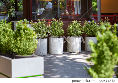 decorative concrete flower pots with leafy bushes and flowers on a stone tile pavement on a cafe terrace with a window on the facade of the building, a close-up of the urban architecture exterior. 90654818