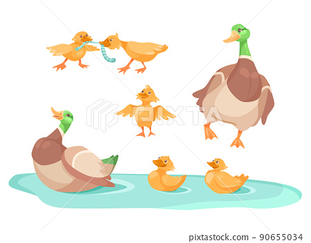 Duck with cute ducklings in pond cartoon... - Stock Illustration ...