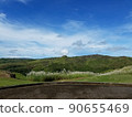 Beautiful sky and beautiful green 90655469