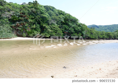 Hirugi 人群（石垣島） 90655530