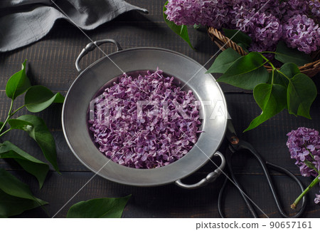 Lilac petals on plate Lilac petals on plate 90657161