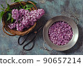 Lilac buds and petals 90657214