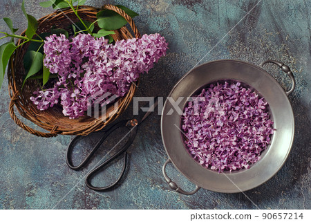 Lilac buds and petals Lilac buds and petals 90657214