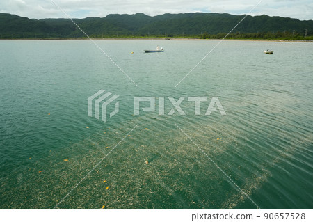 Iriomote Island, Okinawa Prefecture Funaura Bay Iriomote Island, Okinawa Prefecture Funaura Bay 90657528