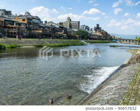 京都的鴨川和河邊城市景觀、三條大橋和鴨川鴨 京都的鴨川和河邊城市景觀、三條大橋和鴨川鴨 90657632
