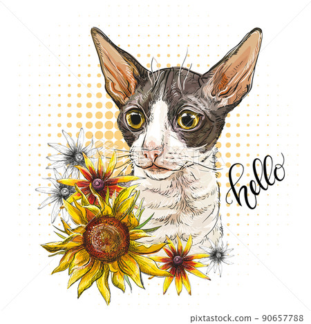 Portrait of a cat and sunflowers vector illustration Portrait of a cat and sunflowers vector illustration 90657788