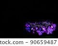 繡球花冠 90659487