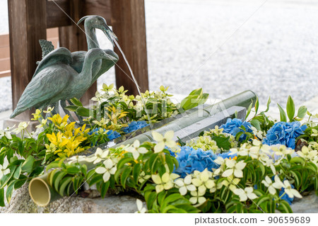 Hydrangea and sunflower flower hand water 90659689