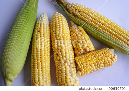 Fresh corn or maize isolated in white background. Fresh corn or maize isolated in white background. 90659701