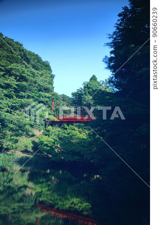 Izumi Nature Park Red Suspension Bridge Izumi Nature Park Red Suspension Bridge 90660239