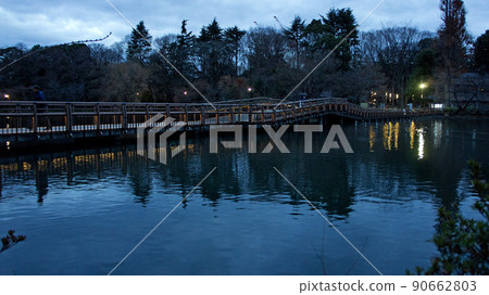 Inokashira Park Morning Nanai Bridge C Inokashira Park Morning Nanai Bridge C 90662803