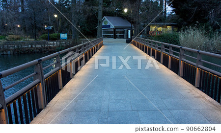 Inokashira Park Morning Nanai Bridge D Inokashira Park Morning Nanai Bridge D 90662804