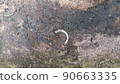Mold stains on the floor. dirt on the cement floor 90663335