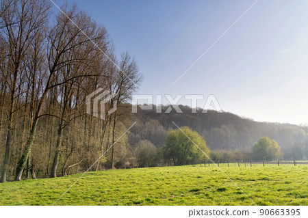 The Neigembos is a nature reserve close to Ninove The Neigembos is a nature reserve close to Ninove 90663395