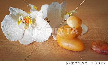 large white orchid flowers on a brown background 90663487